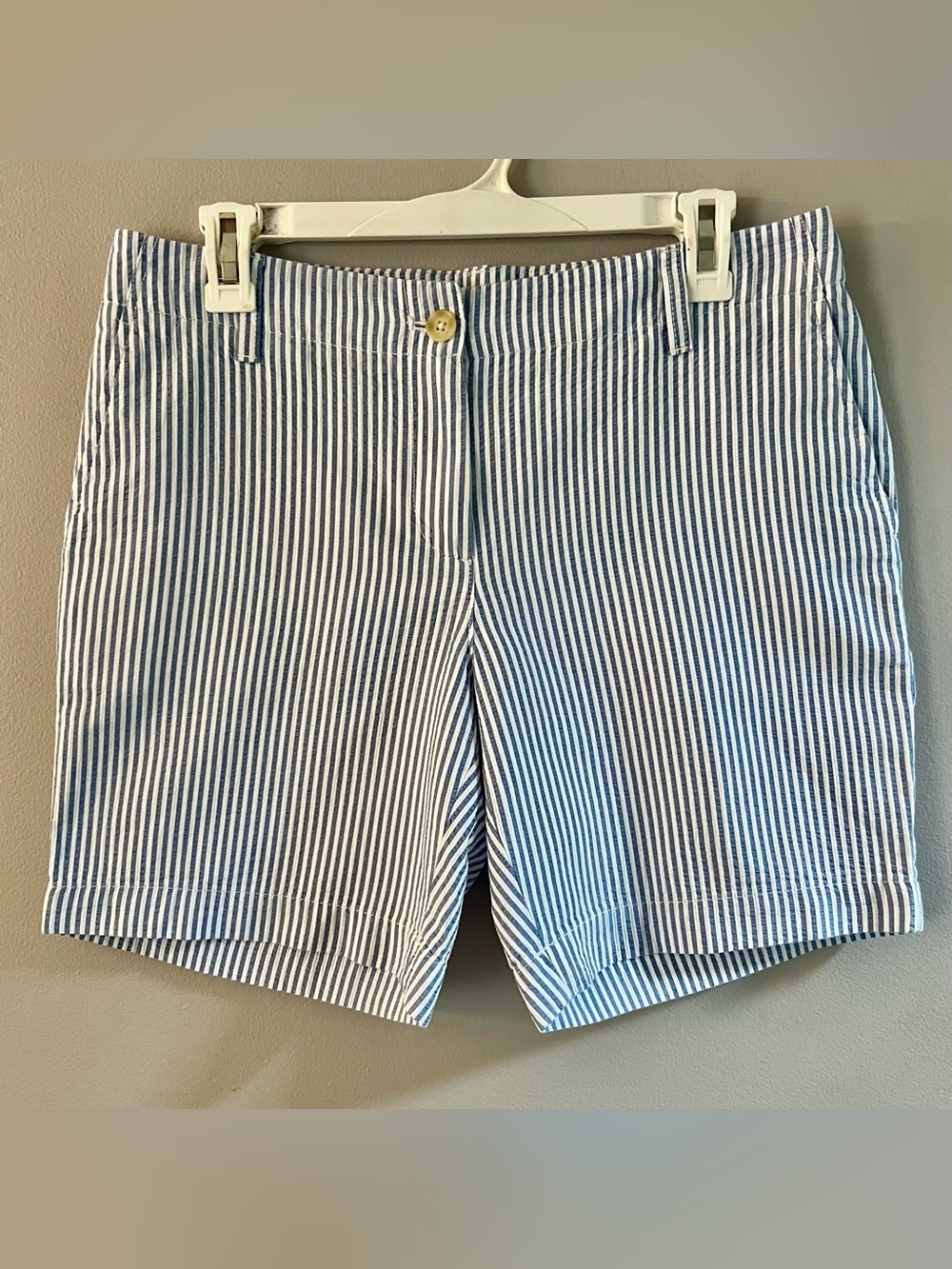 Talbots Blue and White Pinstripe Flat-Front Shorts